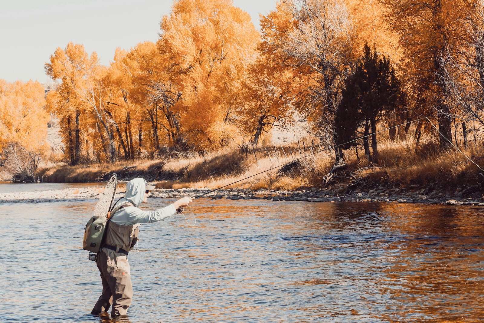 Read more about the article How to Start Fishing & What You Need